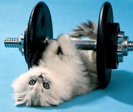 Pussy weight lifting