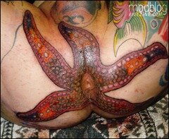 ass star fish